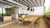 Office meeting room interior with plants and yellow chairs