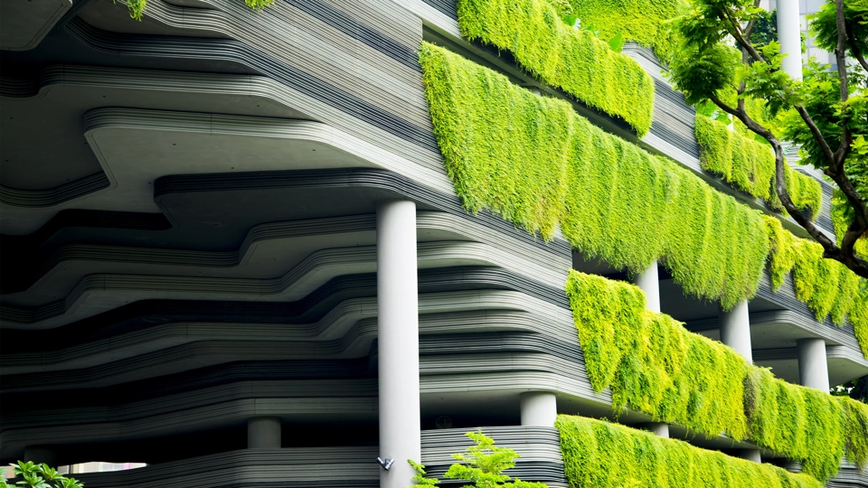 View of greenery, a wall of green plants and hedges