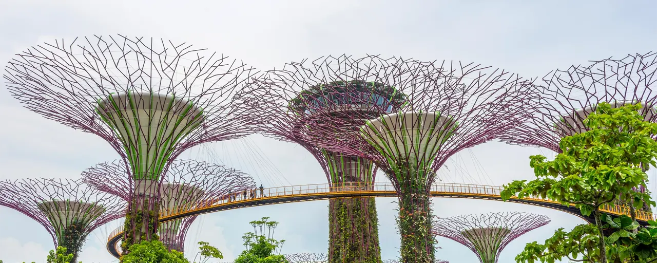Displaying Singapore's Gardens by the bay