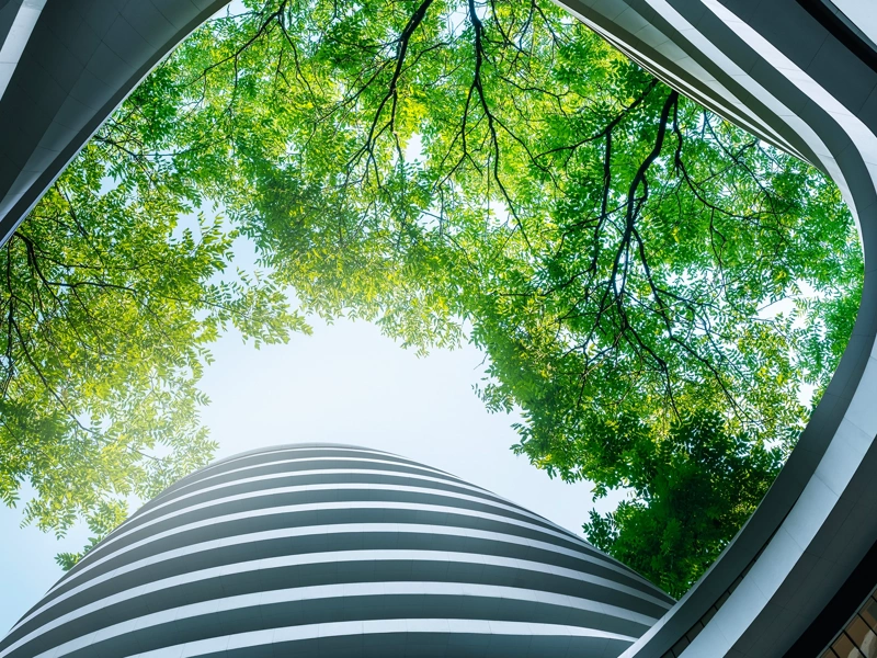 Green building concept