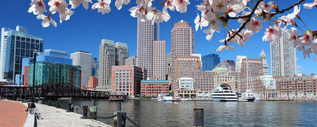 Skyscrapers beside water with a branch of pink flowers overhanging