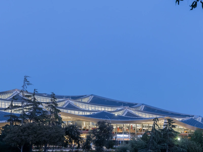 Nightime exterior photo of Google's Gradient Canopy office in Silicon Valley, California, with trees in the foreground and the office building in the background