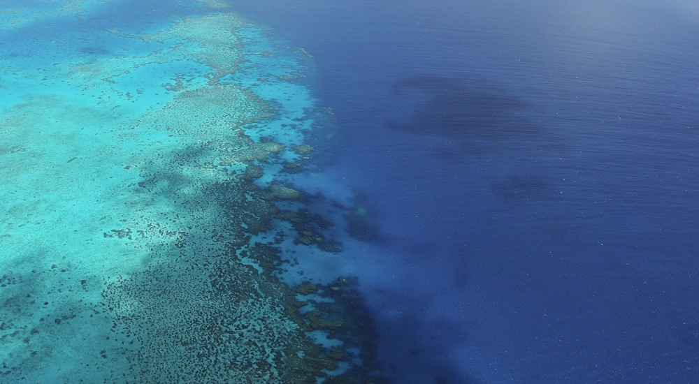 Turquoise and azure blue sea