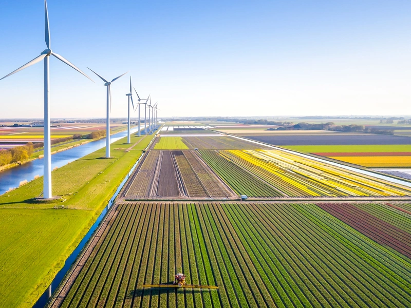 Expansive agricultural scenery beside a row of wind tubrines along a canal