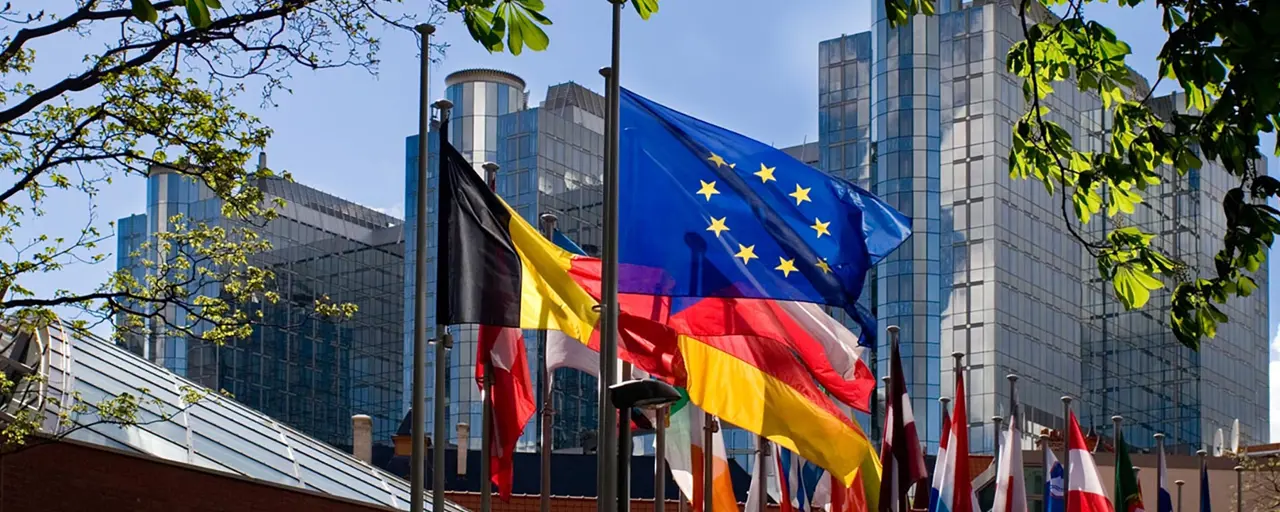 The European union flag with the flags in the European union behind it in a line