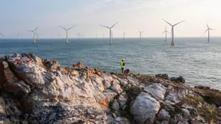 Workmen in high vis looking out over windfarm at sea.