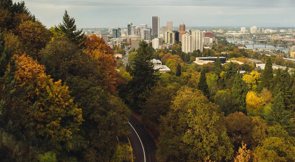 Colourful green brown and orange trees with tall city buildings alongside it
