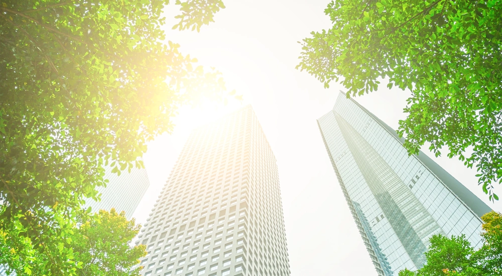 Two skyscrapers against bright sky with green trees either side